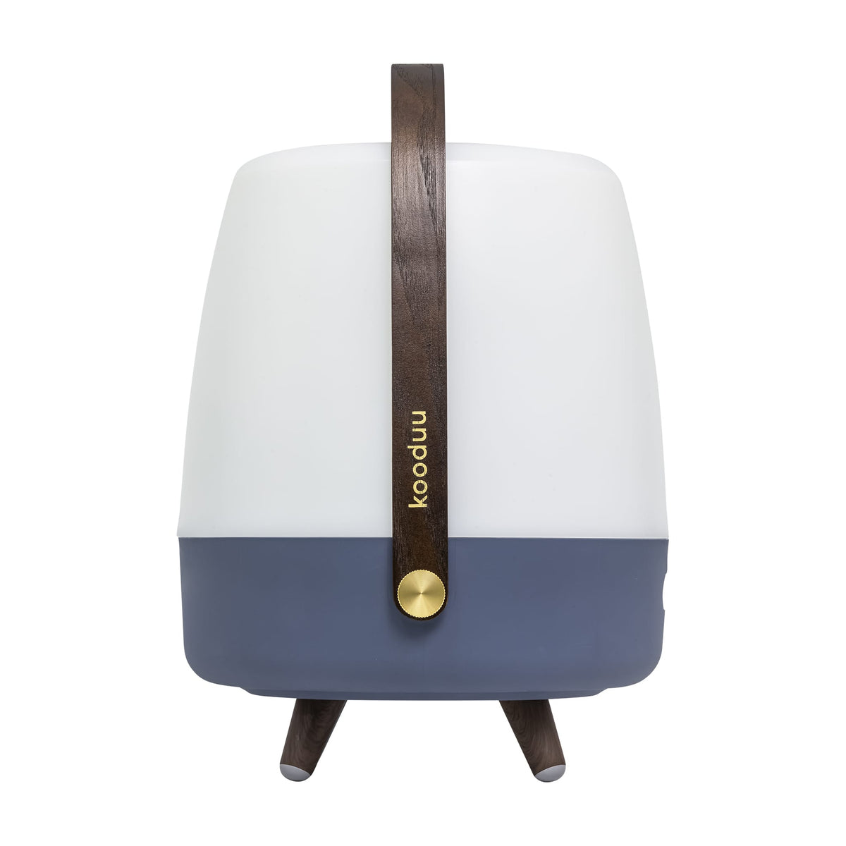 Lite-up Play: Bluetooth speaker lamp with JBL sound, cozy LED glow, and premium design featuring brass highlights and wooden handle.