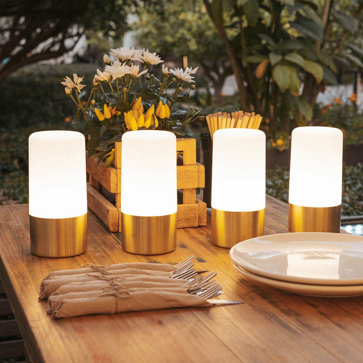 Maia&lt;br&gt; Rechargeable Table Lamp