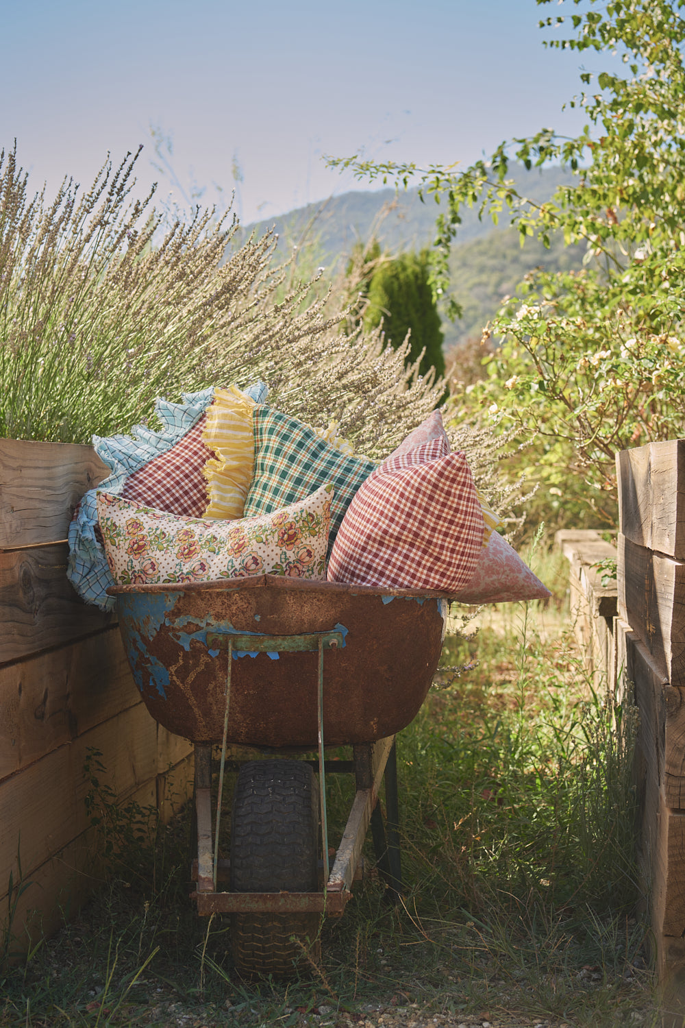 NEW - Muriel Cushion
